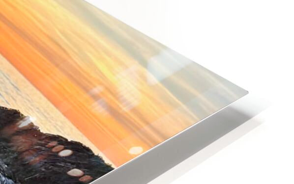 2487456 :: HD Sublimation Metal Print