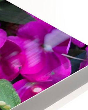 2498027 :: HD Sublimation Metal Print