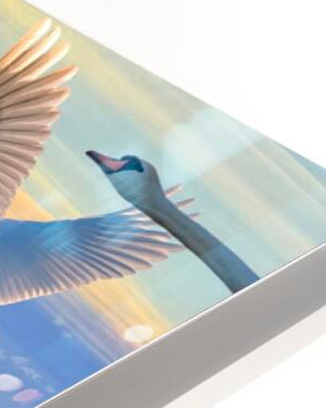 2503734 :: HD Sublimation Metal Print