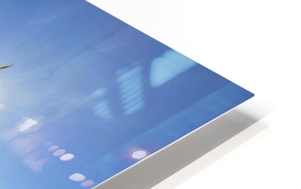 2519943 :: HD Sublimation Metal Print