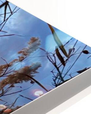 2555294 :: HD Sublimation Metal Print