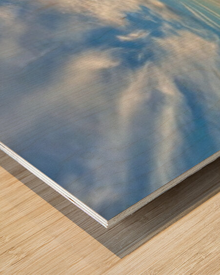 2347491 :: Wood Print