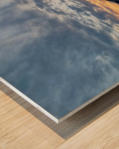 2363217 :: Wood Print