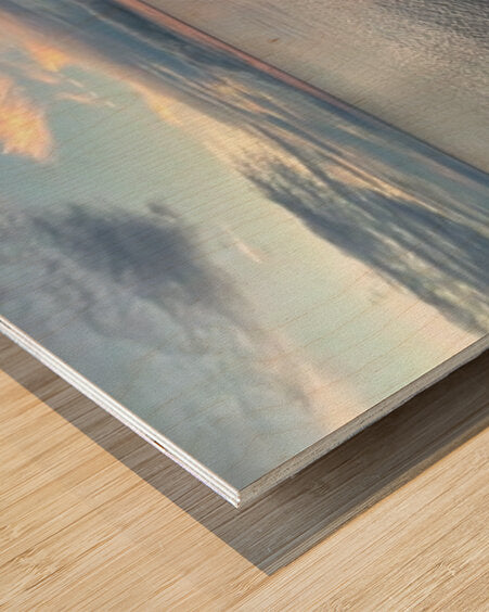 2363413 :: Wood Print