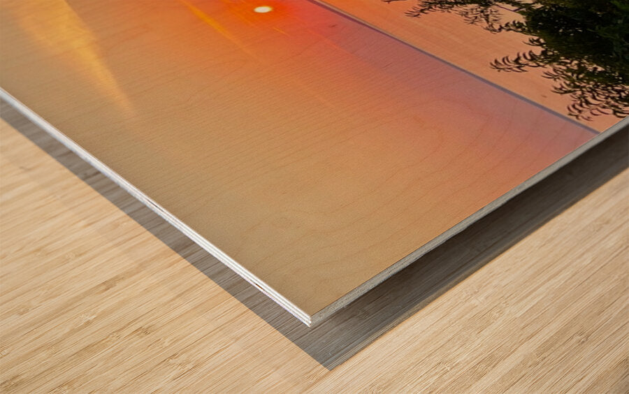 2367272 :: Wood Print