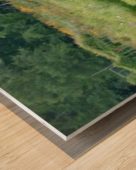 2374222 :: Wood Print