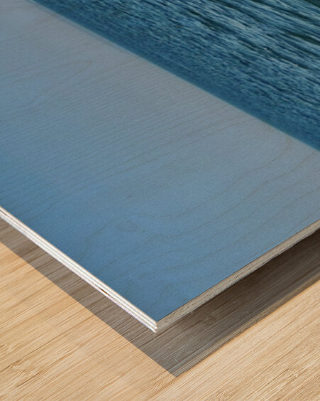 2401845 :: Wood Print