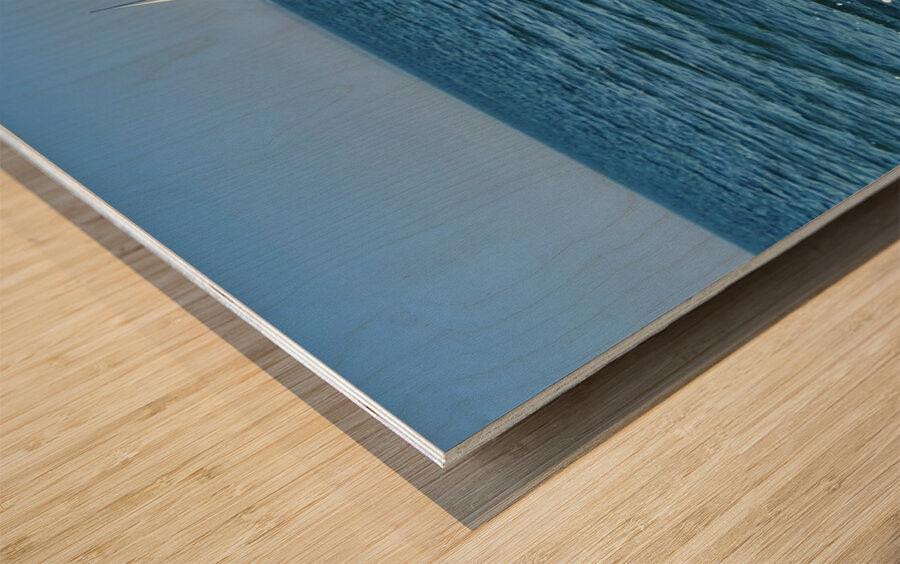 2401845 :: Wood Print