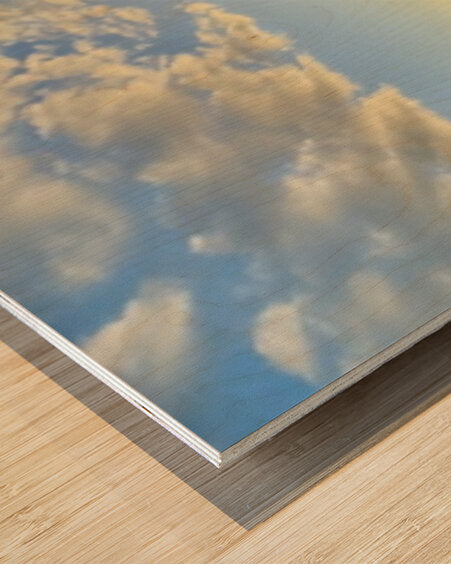 2473990 :: Wood Print