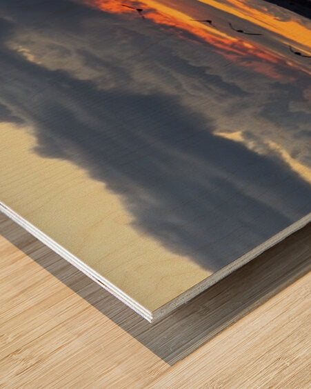 2477186 :: Wood Print