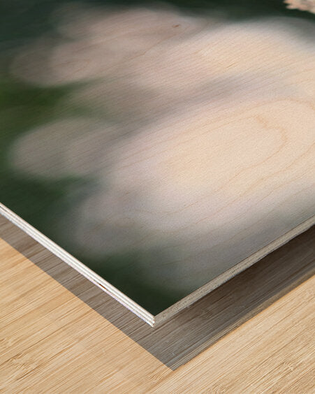 2495654 :: Wood Print