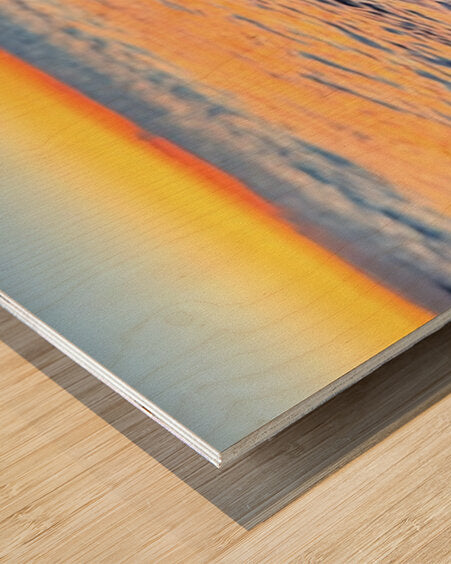 2500341 :: Wood Print