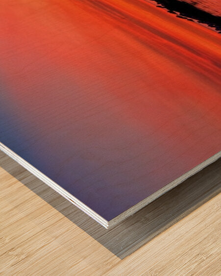 2503694 :: Wood Print