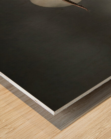 2508362 :: Wood Print