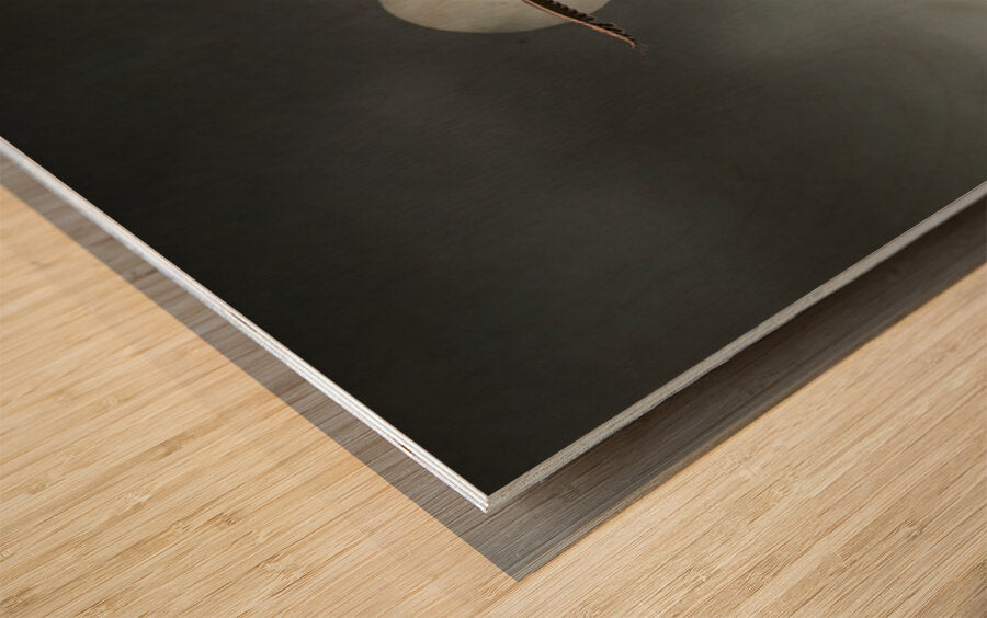 2508362 :: Wood Print