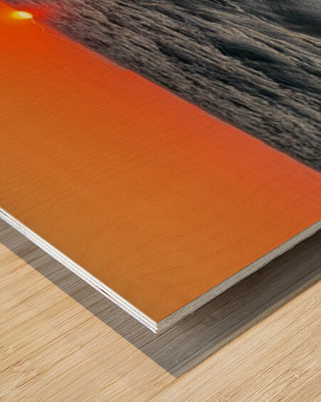 2631195 :: Wood Print