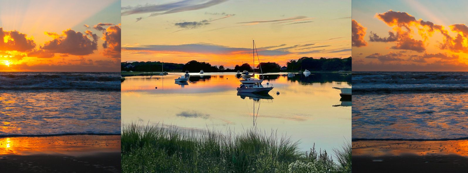Golden Tranquility