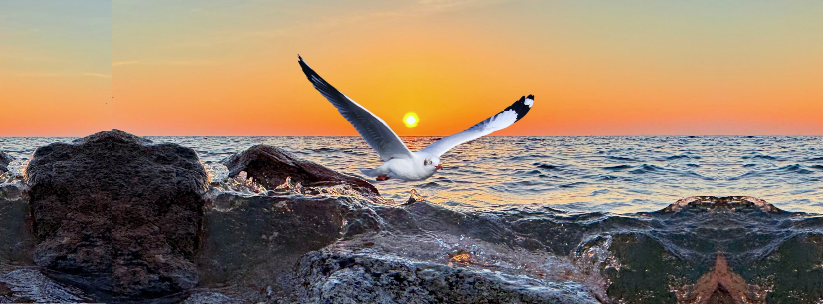 Flight at the Edge of Day