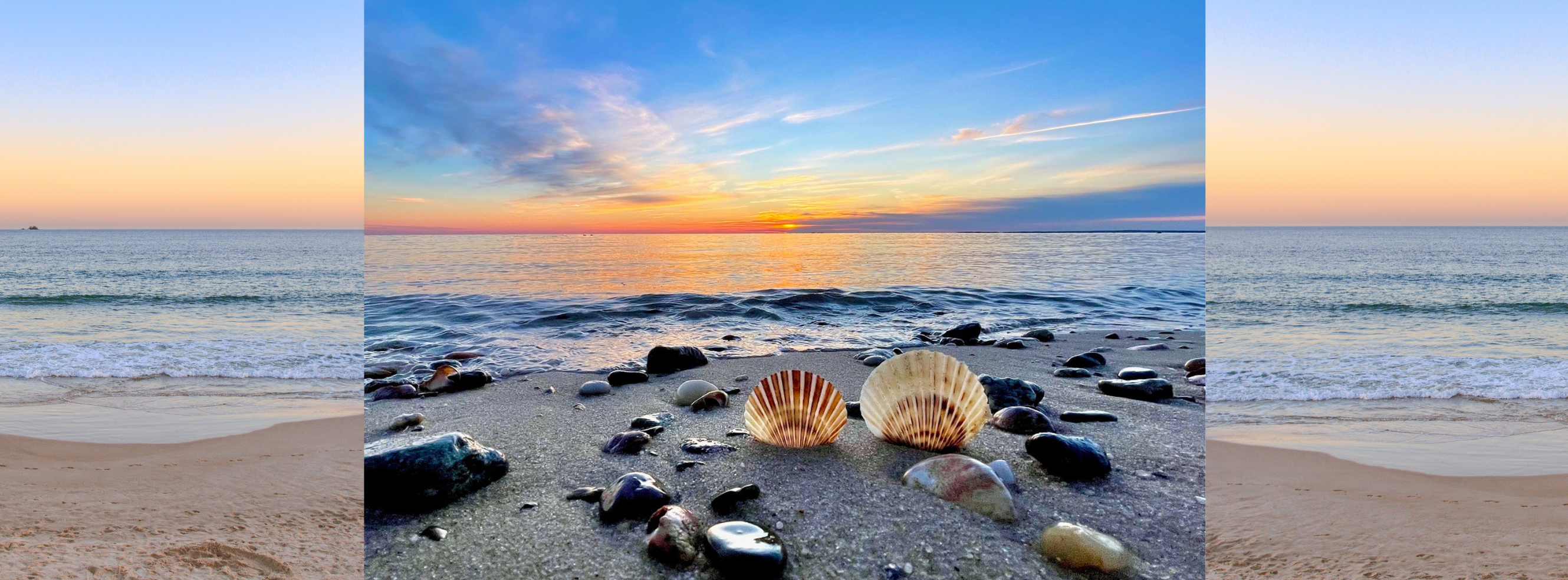Shell Paradise