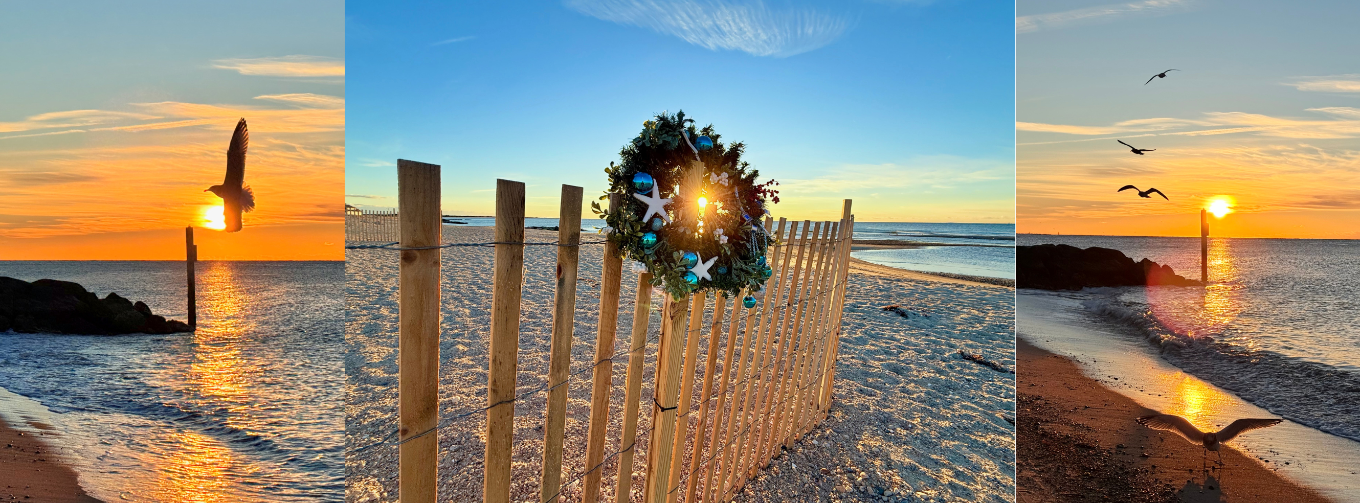 The Shoreline's Oracle