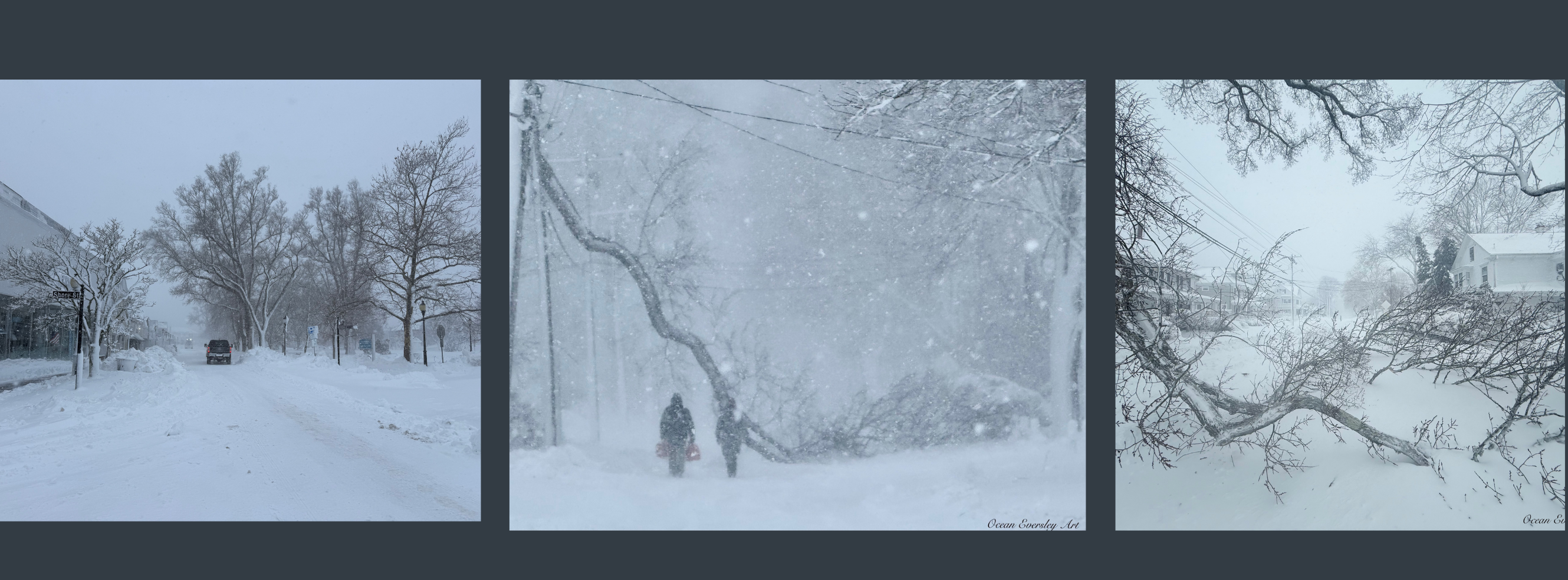 Blizzard of 2026