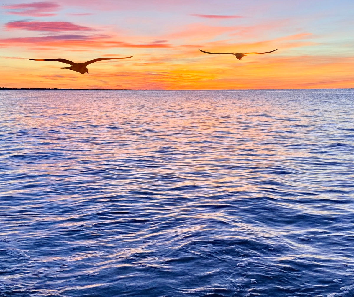 2487268 :: Giclée Fine Art Matte Paper Print