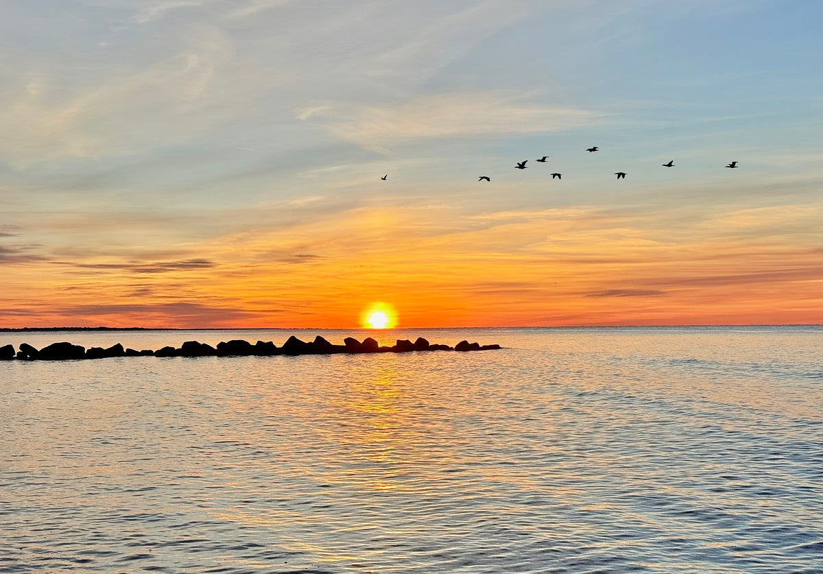 2487902 :: Giclée Fine Art Matte Paper Print