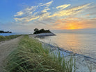 2442746 :: Giclée Poster Satin Photo Paper Print