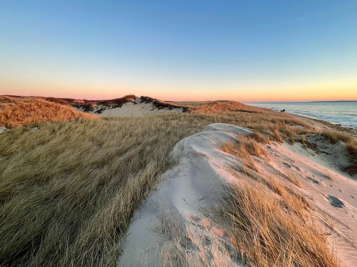 Giclee Rolled Canvas Print