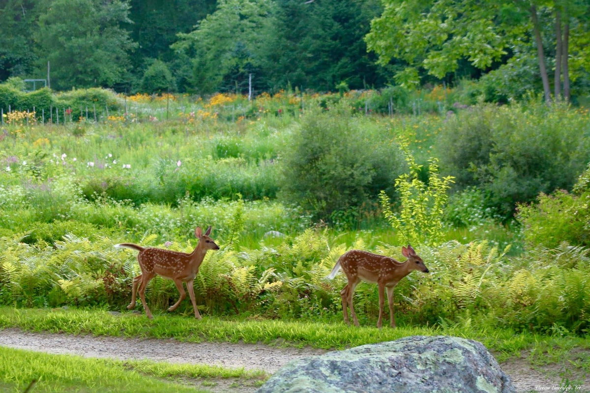 2374222 :: Giclée Rolled Canvas Print