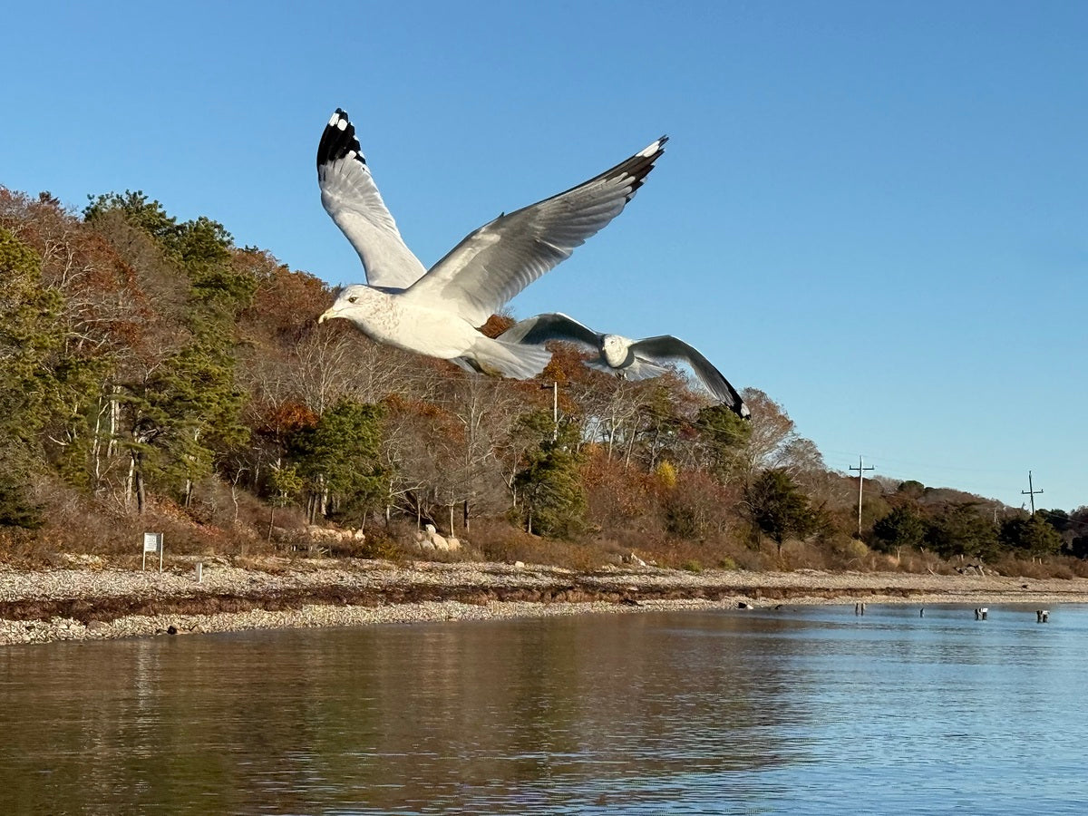 2498092 :: Giclée Fine Art Matte Paper Print