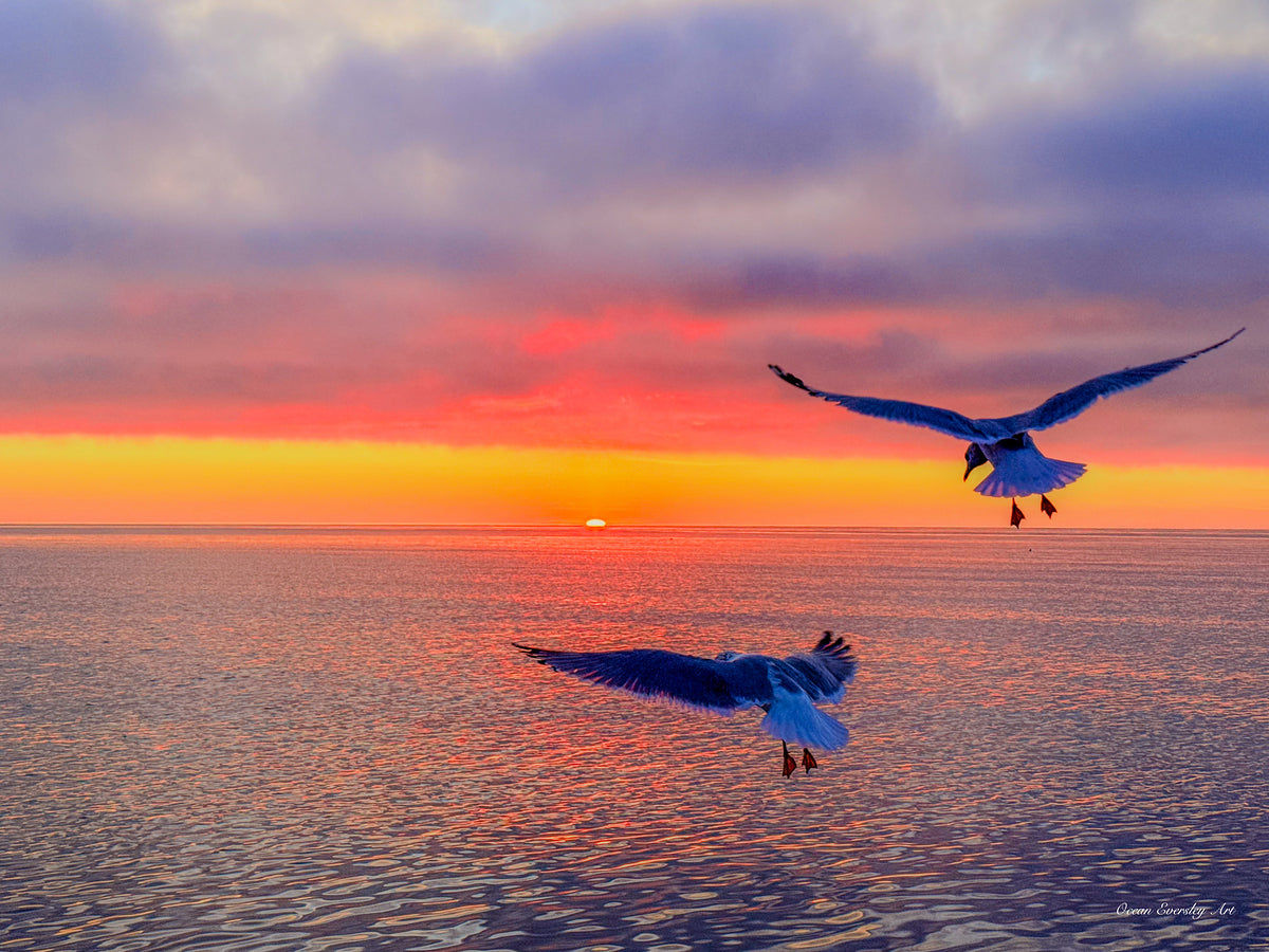 2536746 :: Giclée Rolled Canvas Print