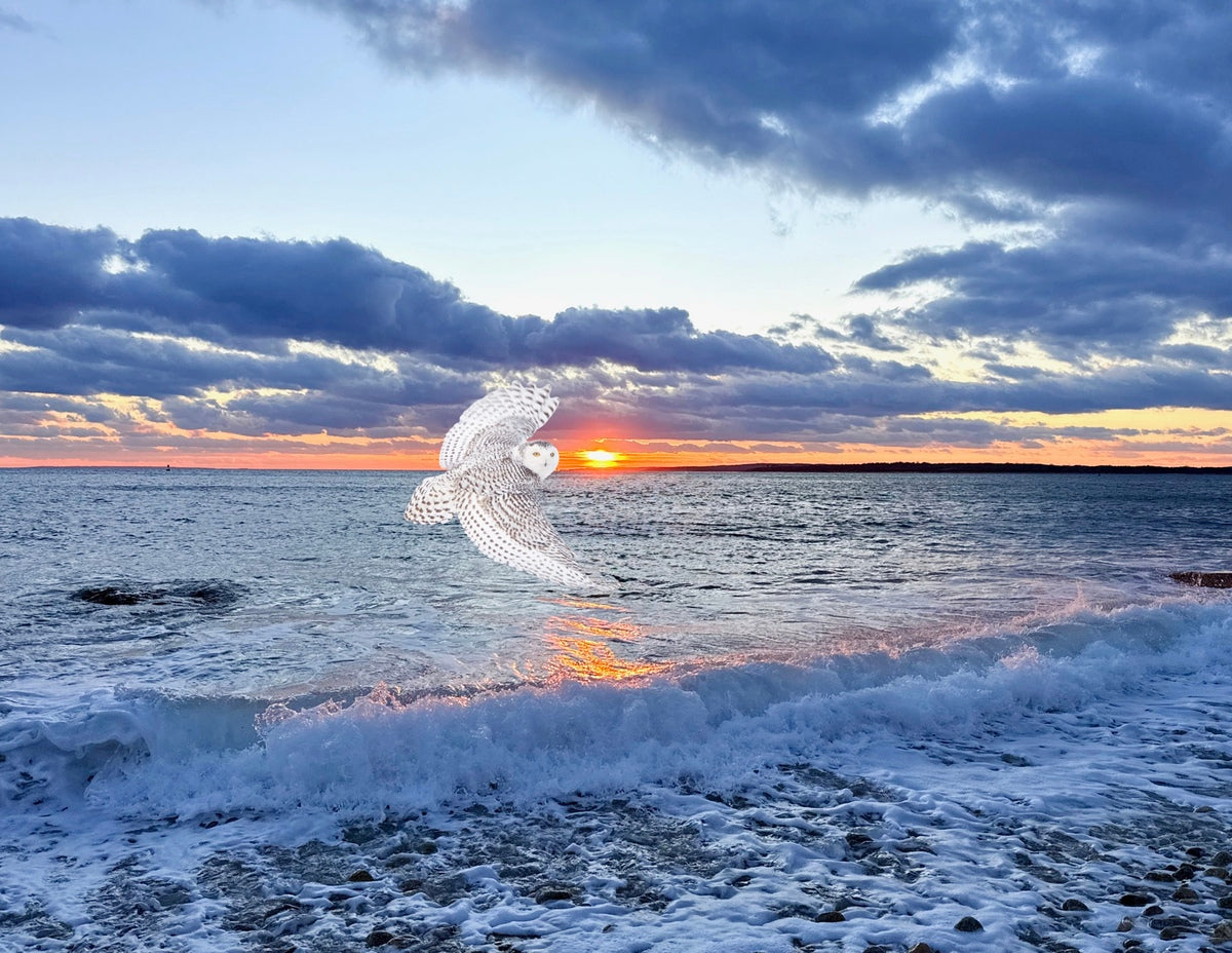 2521712 :: Giclée Fine Art Matte Paper Print