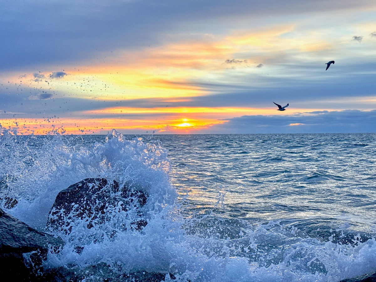 2529222 :: Giclée Rolled Canvas Print