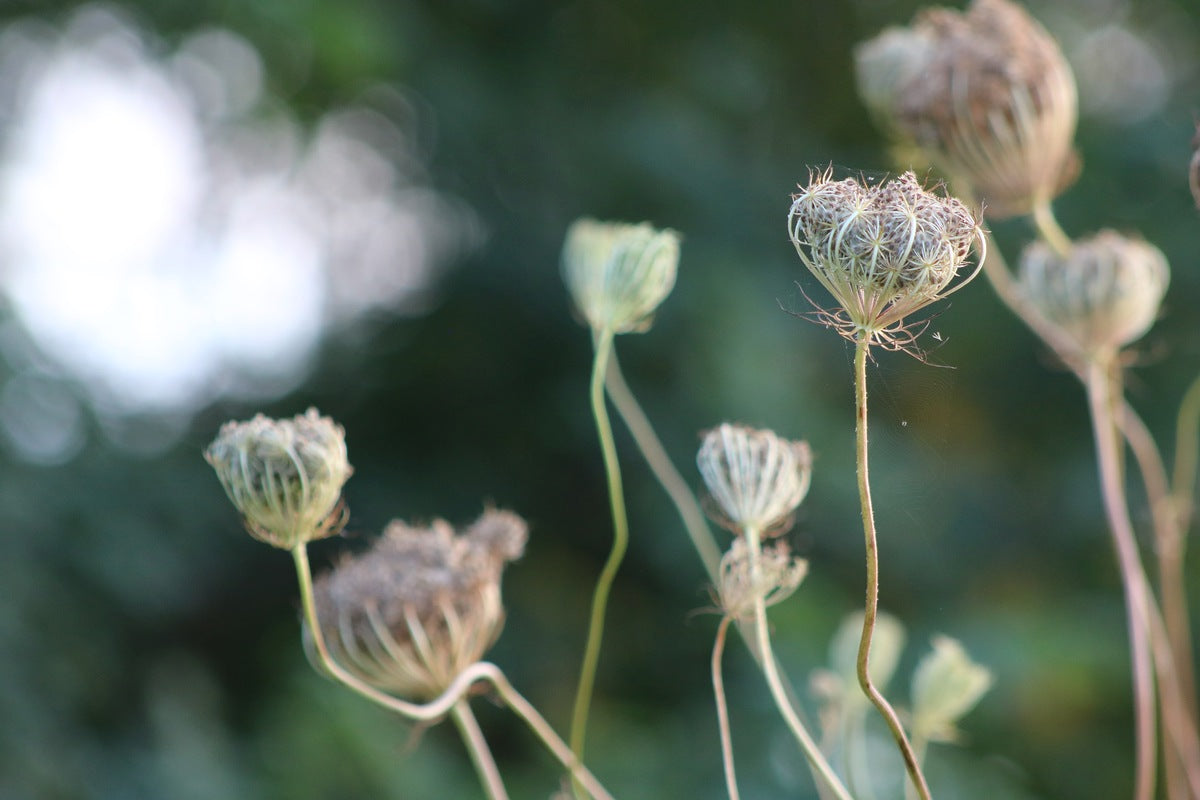 2495654 :: Giclée Fine Art Matte Paper Print