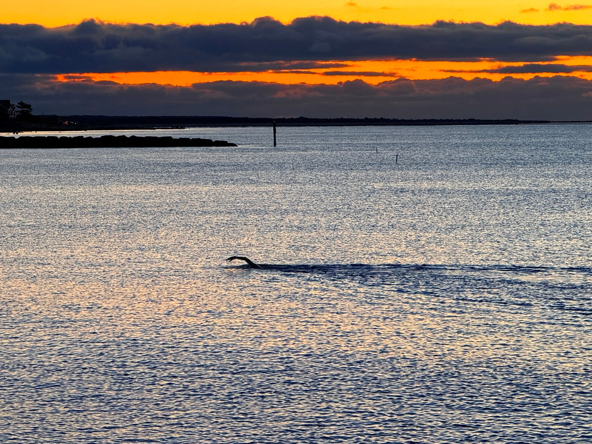 2479257 :: Giclée Fine Art Matte Paper Print