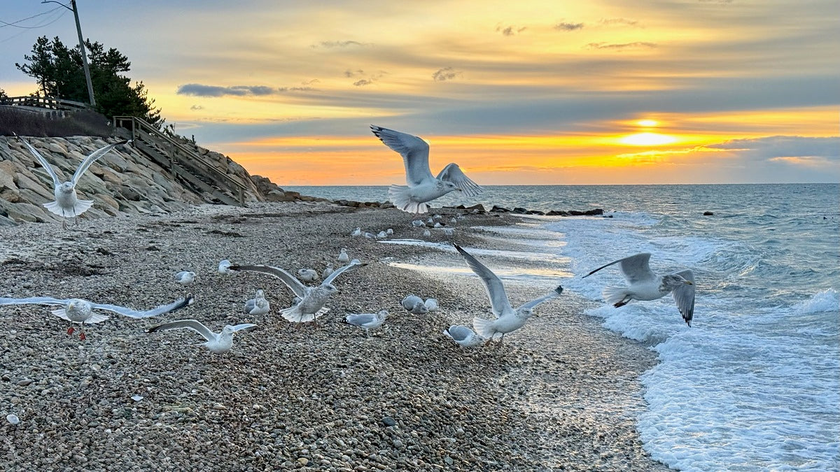 2528827 :: Giclée Rolled Canvas Print