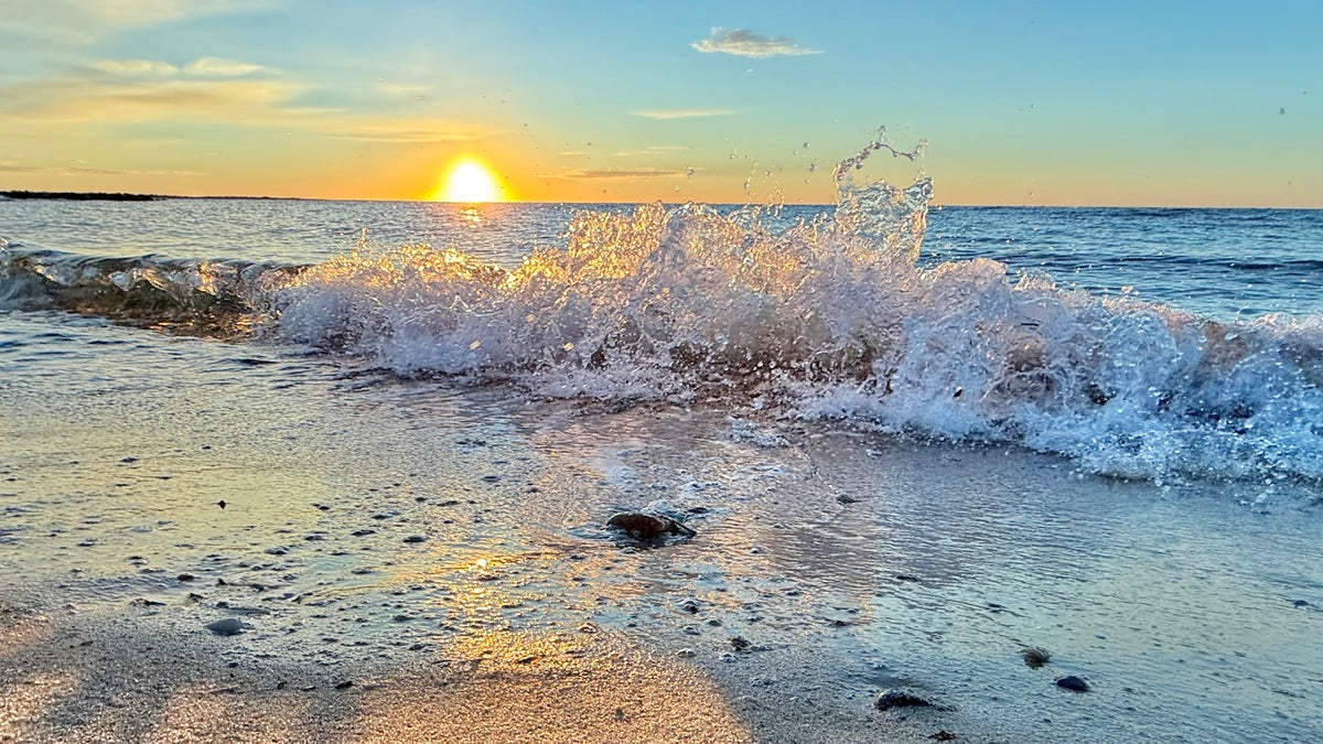 2488700 :: Giclée Rolled Canvas Print