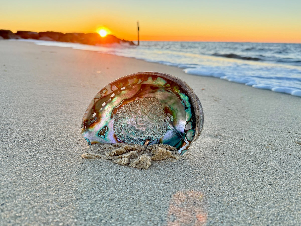 2516197 :: Giclée Poster Satin Photo Paper Print