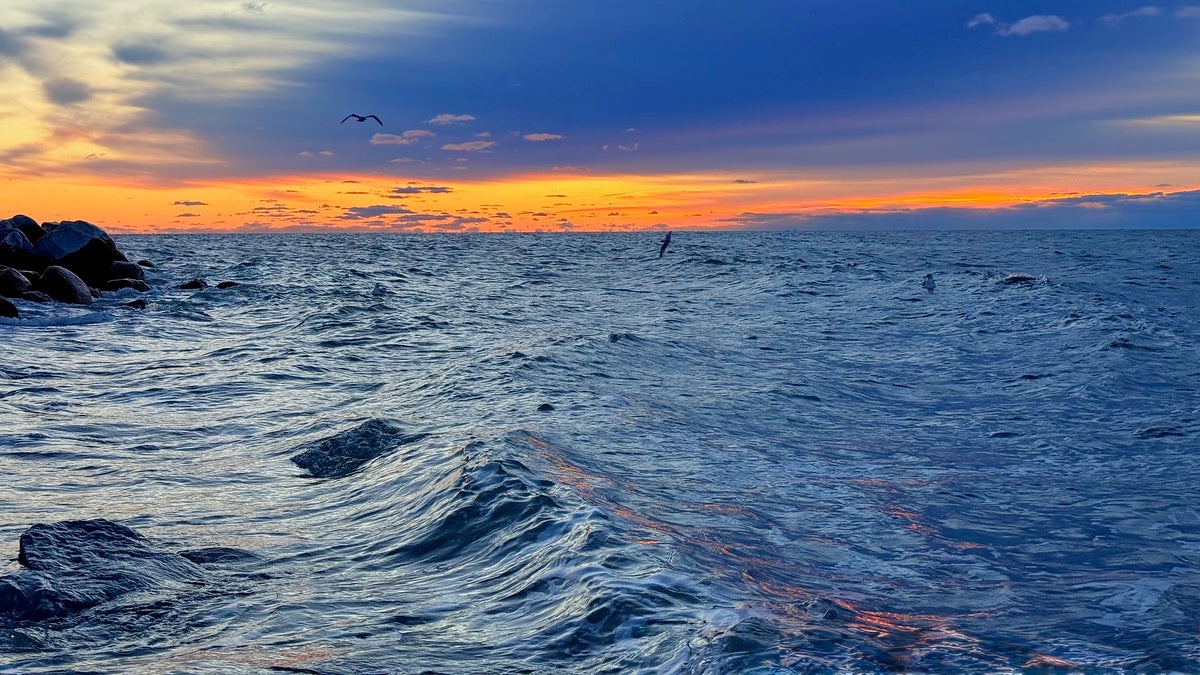 2529218 :: Giclée Fine Art Matte Paper Print