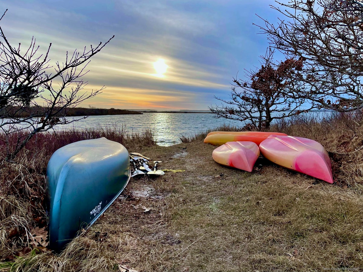 Giclee Rolled Canvas Print