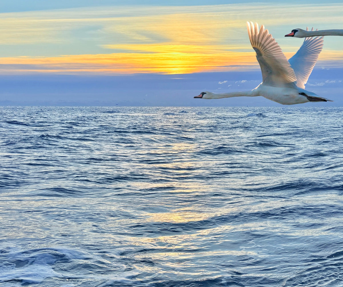 2503734 :: Giclée Fine Art Matte Paper Print