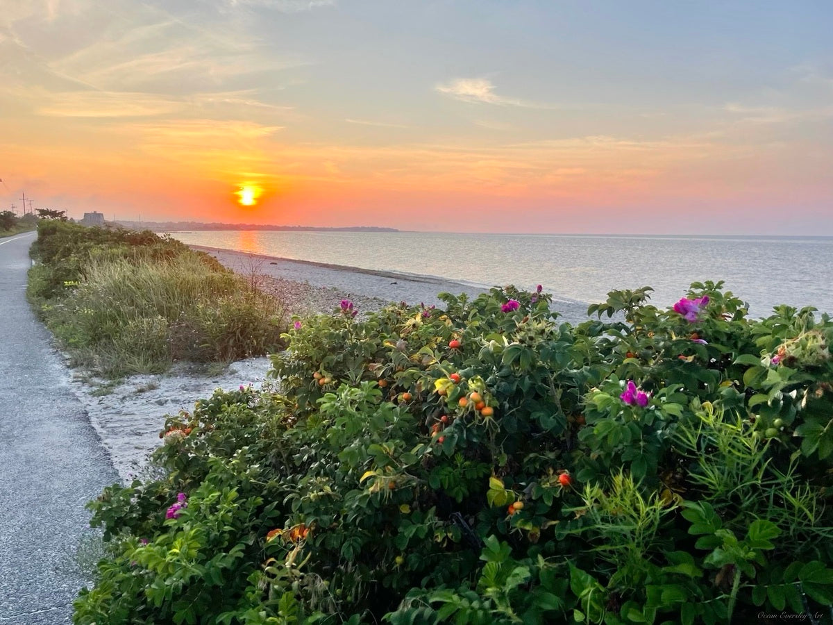 2380424 :: Giclée Poster Satin Photo Paper Print