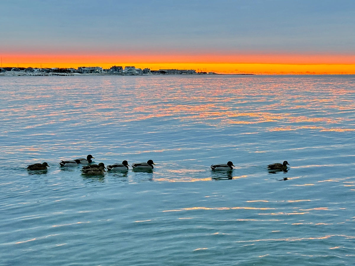 2511936 :: Giclée Rolled Canvas Print