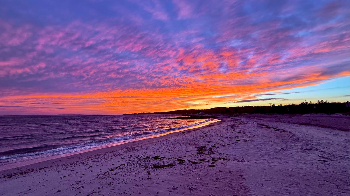 2540917 :: Giclée Rolled Canvas Print