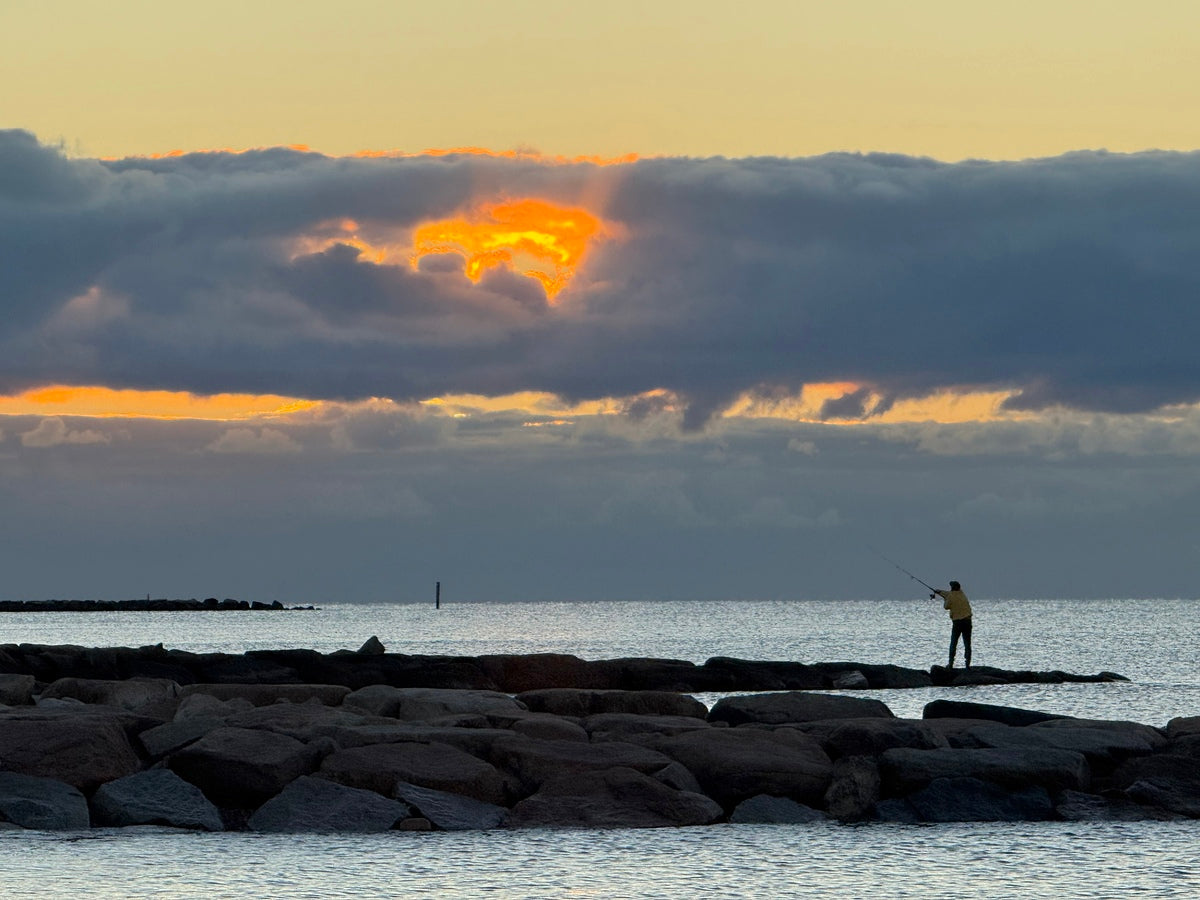 2474002 :: Giclée Rolled Canvas Print