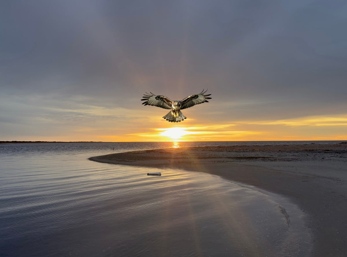 2521716 :: Giclée Poster Satin Photo Paper Print