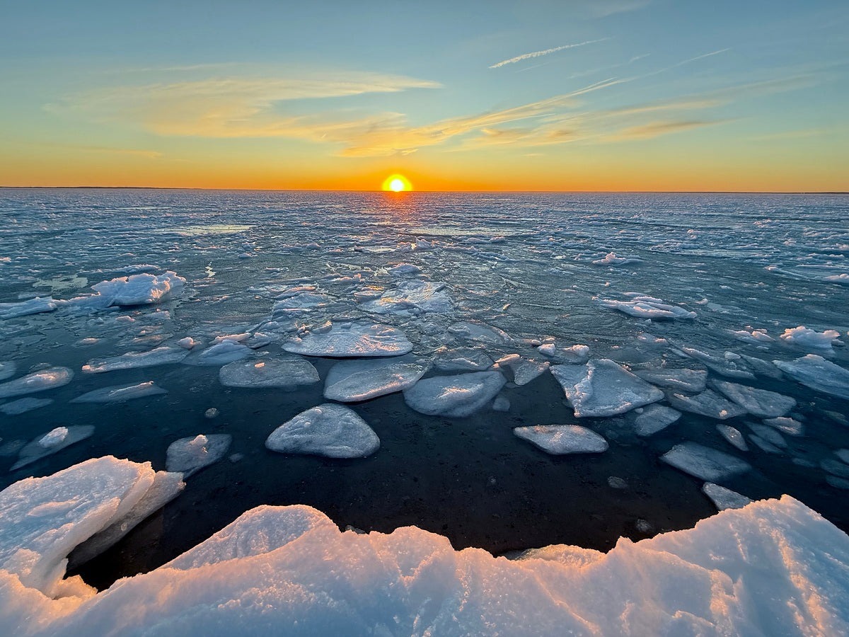 2559652 :: Giclée Fine Art Matte Paper Print