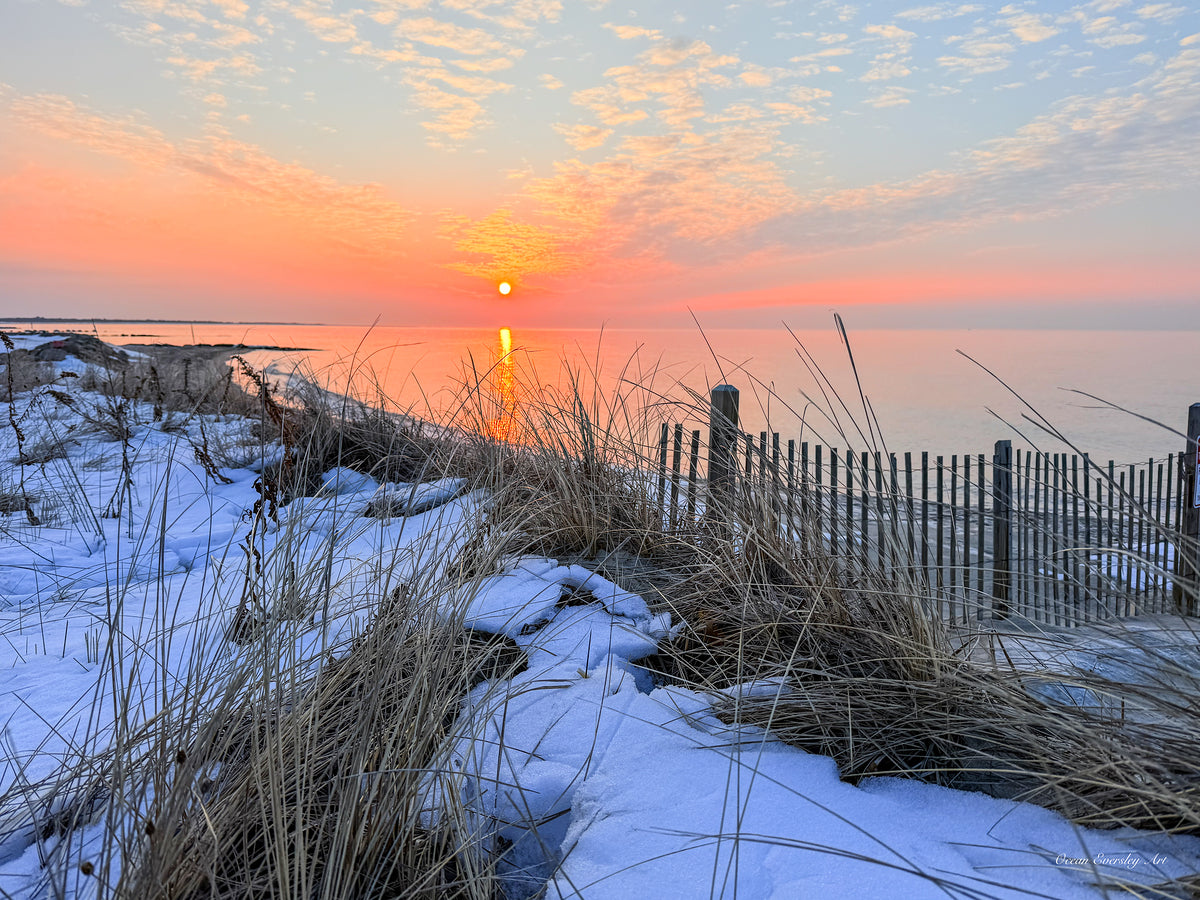 2577035 :: Giclée Rolled Canvas Print