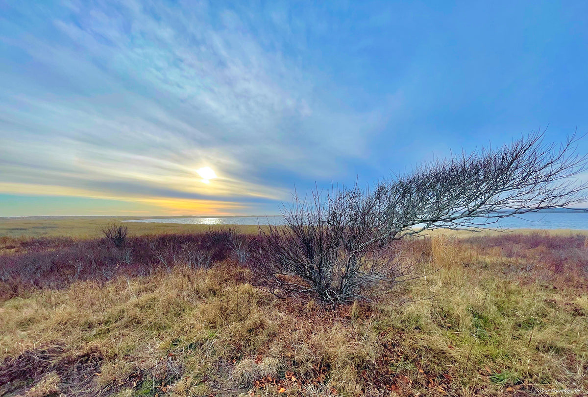 2385246 :: Giclée Rolled Canvas Print